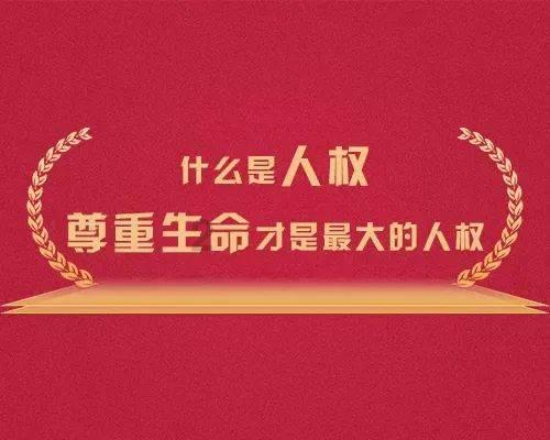 创作猫